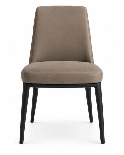NEST dining chair front view