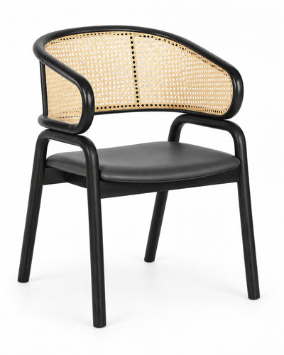 CANOPY DINING CHAIR WITH ARMRESTS angled view