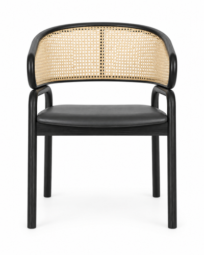 CANOPY DINING CHAIR WITH ARMRESTS front view
