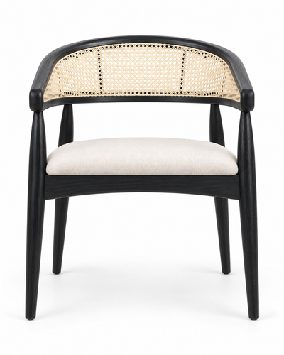 FAN DINING CHAIR WITH ARMRESTS front view
